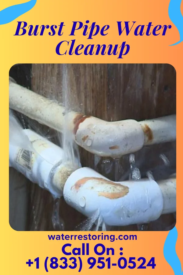 Burst Pipe Water Cleanup in Wabash, IN