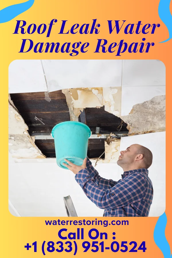Roof Leak Water Damage Repair in Wabash, IN