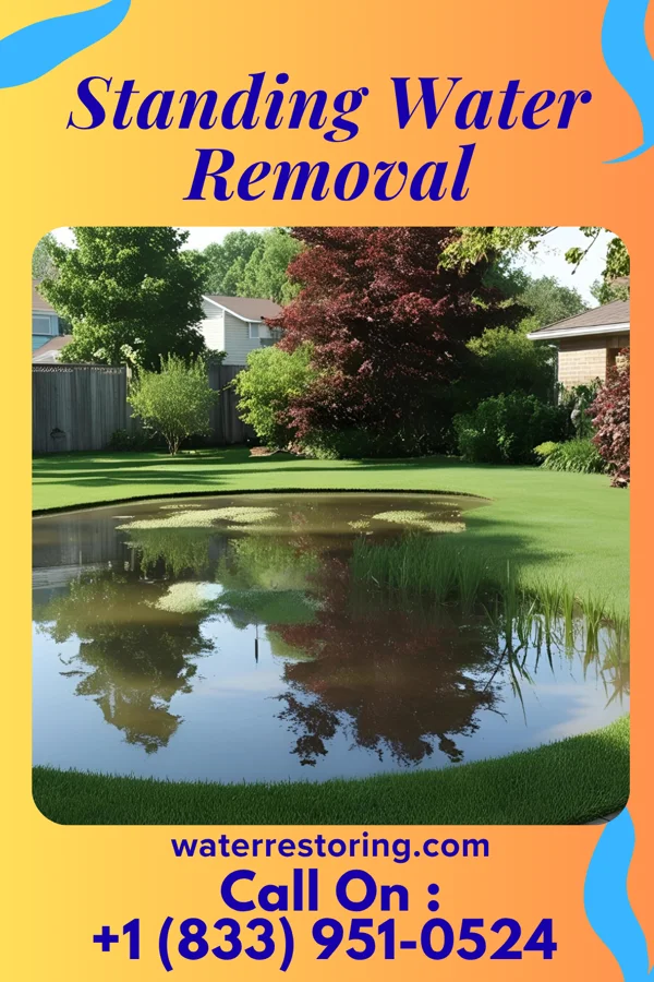 Standing Water Removal in Wabash, IN